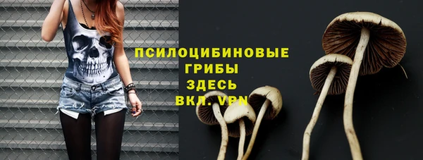 PSILOCYBIN Арсеньев