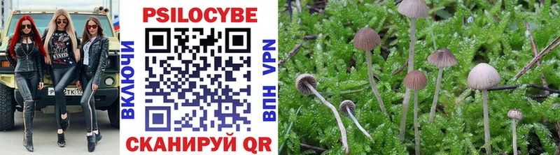 Галлюциногенные грибы прущие грибы  Мураши 